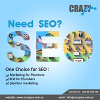 CrazySEO image 1